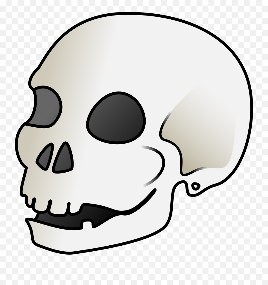 Skull Clip Art - Clip Art Library Transparent Cartoon Skull Png Emoji,Schrodinger's Emoticon Shirt