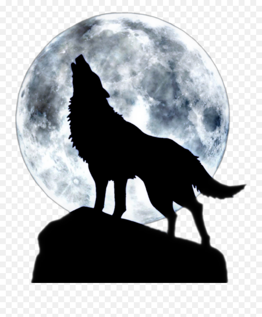 Sticker By Coyoteruben Meneses Lopez Classic Love Songs - Moon Wolf Png Emoji,Wolf Moon Emoji