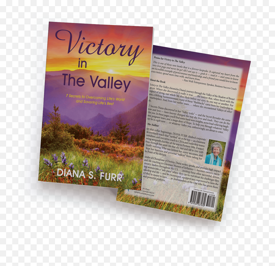 Victory In The Valley Paperback - Horizontal Emoji,Beauty Is Emotion Diana