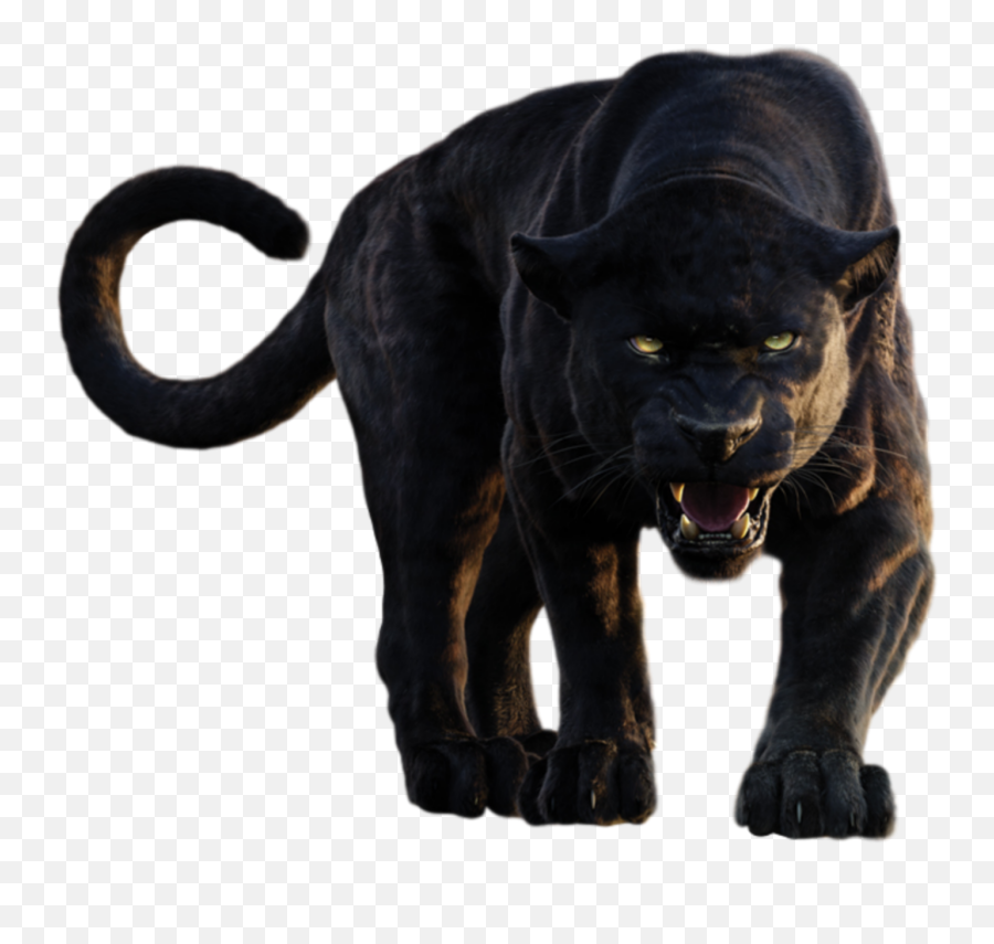 Panther Sticker By U2022candy U0026 Stewartu2022 - Black Panther Image No Background Emoji,Panther Emoji