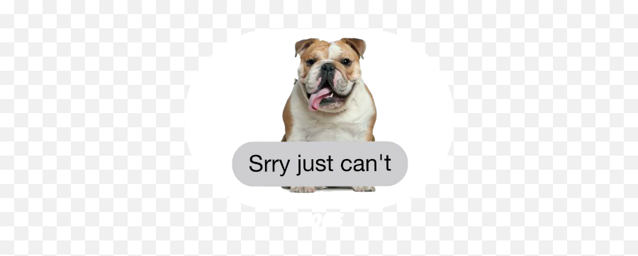 Messages Stickers The Best Messages Stickers For Ios10 - Photo Caption Emoji,English Bulldog Emoji