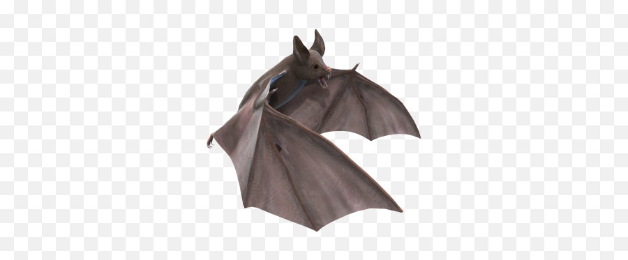 Illustration Of Screaming Angry Vampire Bat Free Transparent - Bat Png Emoji,Smiley Turns Into Vampire Bat Emoticon