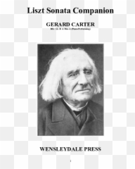 Pdf Liszt Sonata Companion Bec Ll B A Mus A Piano - Hair Design Emoji,Allegro By Berliner Sergei Prokofiev Emotions