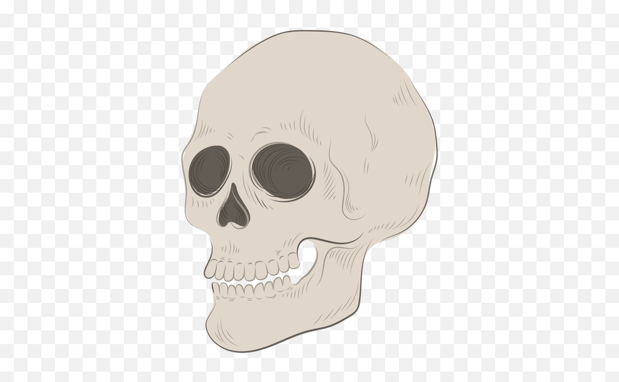 Skeleton Skull Illustration - Transparent Png U0026 Svg Vector File Scary Emoji,Skull Emoticon Set