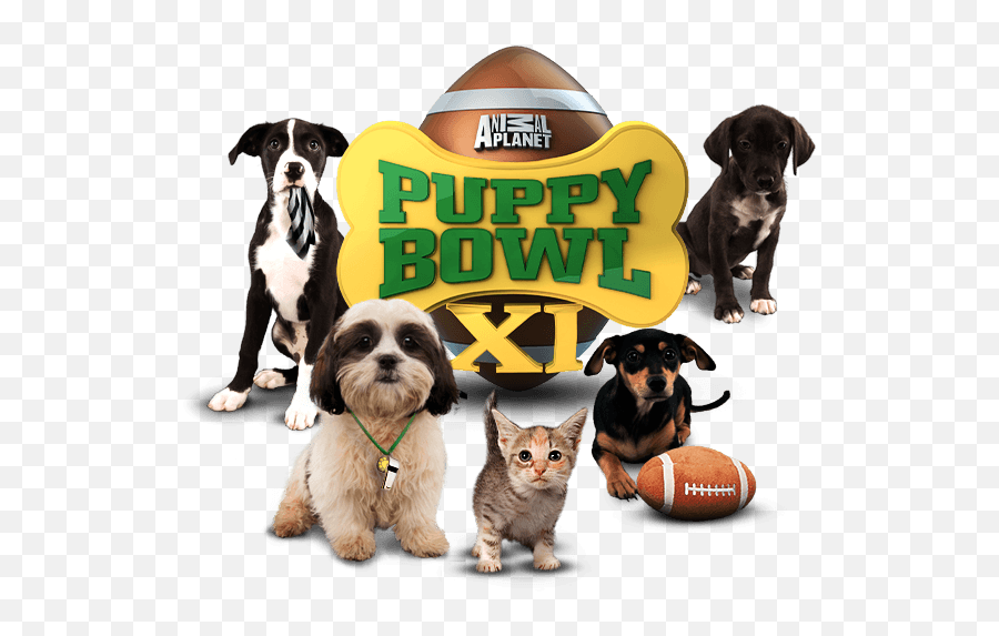 Puppy Bowl Sunday - Puppy Bowl Logo Emoji,Ball Of Emotion Will Farrell