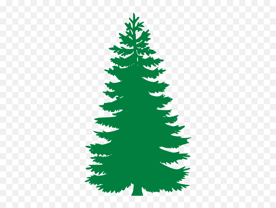 Pine Tree Clipart Free Clipart Images 3 - Pine Tree Clipart Png Emoji,Pine Tree Emoji