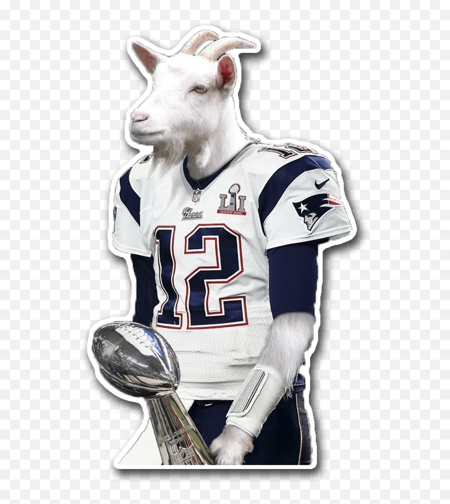 Tom Brady Goat - Wut In Tarnation Meme Usepng Tom Brady Goat Emoji,Goat Head Emoji