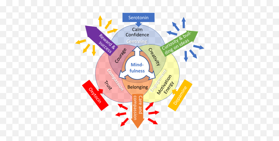 The Chemistry Of Inspiration - Understand The Dynamics Of Working With Others Emoji,Serotonin And Emotions