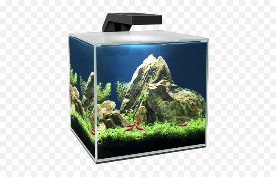 Products - Cube 5 Led Aquarium Emoji,Ciano Emotions 80