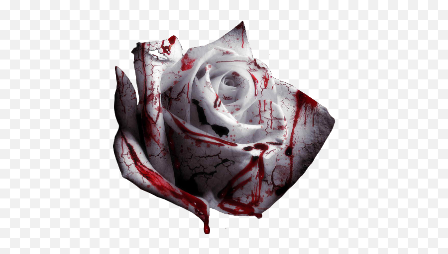 Rose Blood Bloody Sticker - Blood Flower Png Emoji,Big Boi Emoji