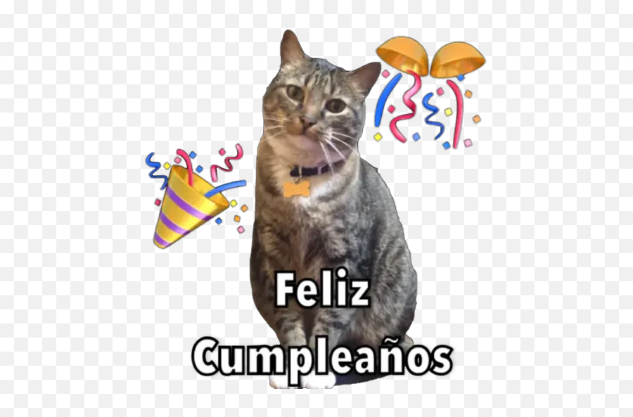 Hbd Stickers For Whatsapp - Photo Caption Emoji,Feliz Cumpleanos Emoji