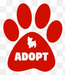 23 Things To Consider When Adopting Or Rescuing A German - Pet Adoption Logo Emoji,How To Tell German Shepherds Emotions By Their Ears