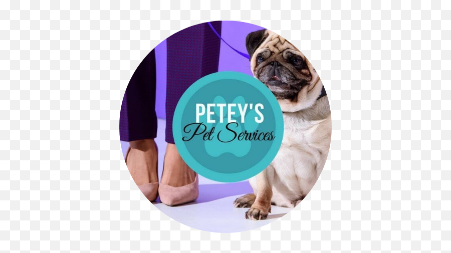 Top Apps For Pet Owners U2014 Peteyu0027s Trusted Pet Sitters In - Dog Supply Emoji,Pug Emoticons For Iphone
