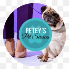 Top Apps For Pet Owners U2014 Peteyu0027s Trusted Pet Sitters In - Dog Supply Emoji,Pug Emoticons For Iphone