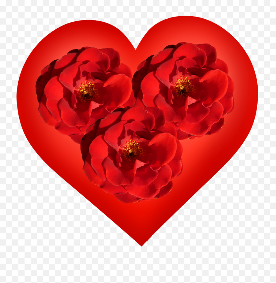 Valentines Day Hearts Valentine Graphics - Ground Rose Emoji,Animated Pepe Le Pew Emoticon