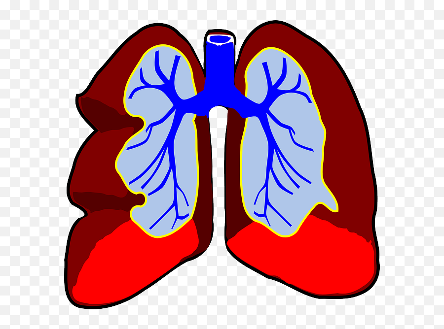 Lungs Clipart Emoji Lungs Emoji - Lung With Cancer Clipart,Cool Kid Emoji