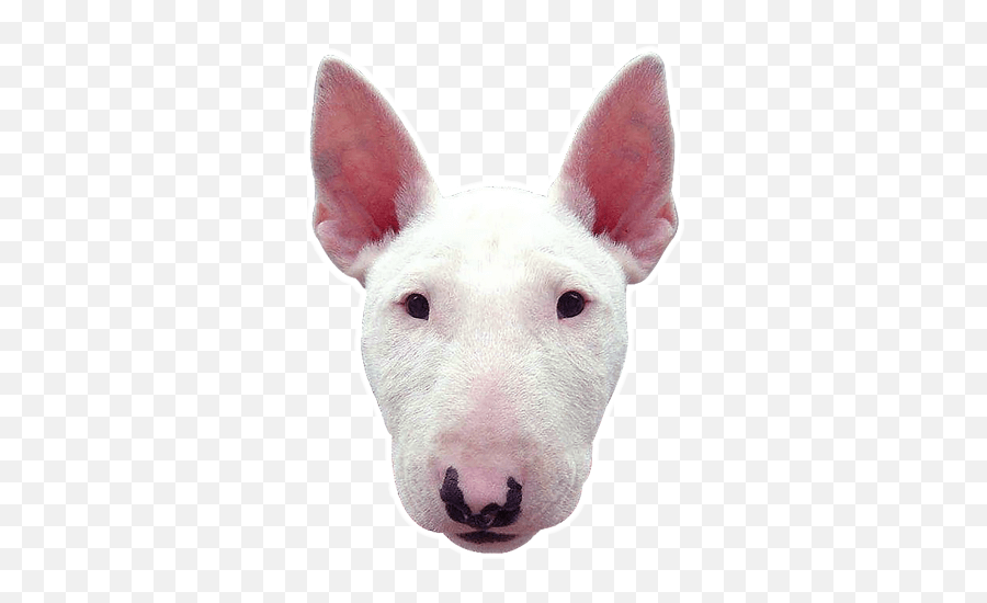 The Most Edited Emoji,Bull Terrier Emoticons