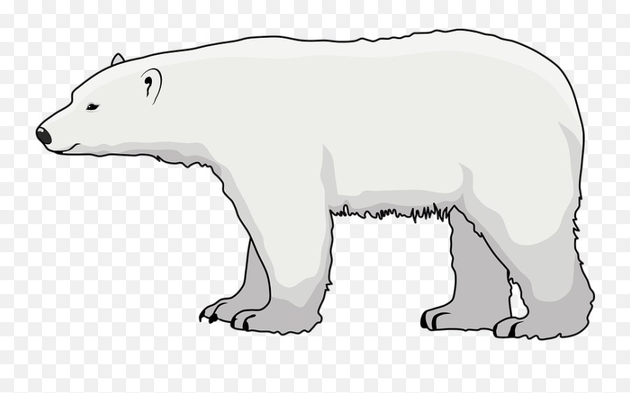 70 Free Arctic U0026 Animal Vectors Emoji,How To Get A Narwhal Emoji