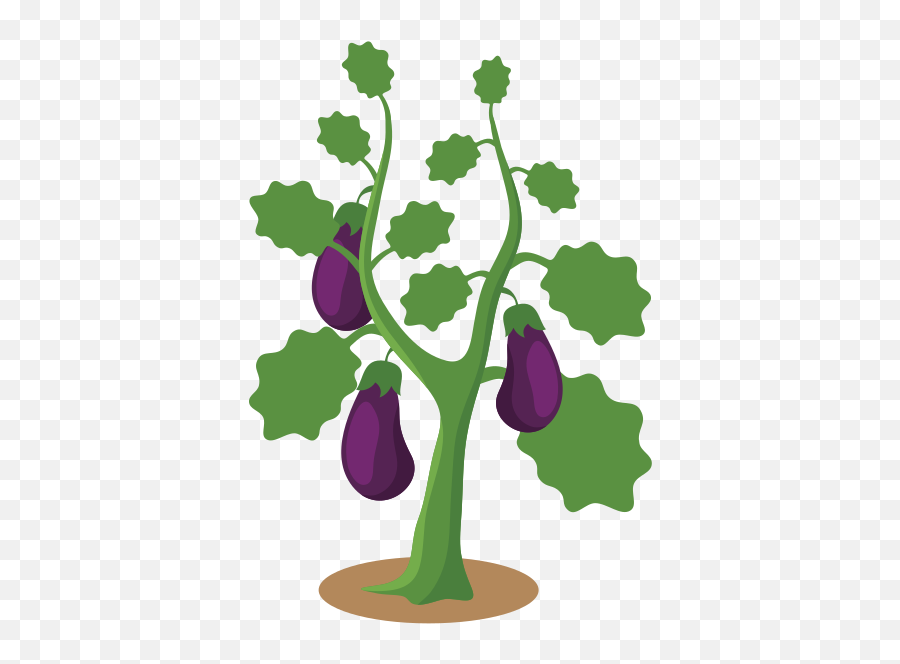 Eggplants Growing On Vine Clip Art Image - Clipsafari Emoji,Tjats A Lot Of Eggplant Emojis