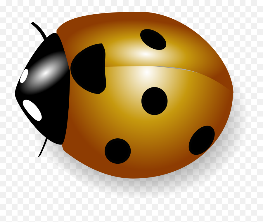 Orange Ladybug Top View Render Free Image Download Emoji,Wings Emoticons