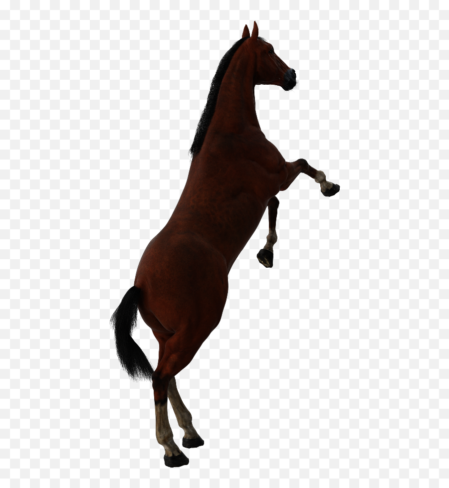 Horse Horses Andreamadison Sticker - Animal Figure Emoji,Horse Emoji App