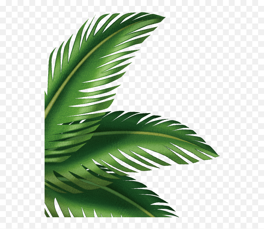 Palm Tree Leaves - Shipwrecked Vbs Palm Tree Transparent Palm Tree Leaves Animated Emoji,Palm Tree Emoji