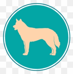And Then There Were Four U2013 Simply Southern Siberians - Northern Breed Group Emoji,Husky Emotions