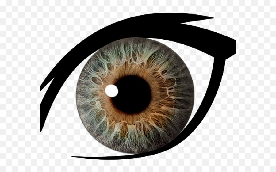 Hazel Eyes Clipart Dark Brown Eye - Green Eyes Transparent Transparent Hazel Eyes Png Emoji,Brown Eye Emoji