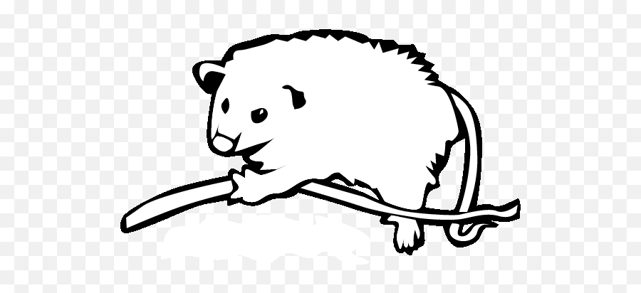 Thanksgiving History Coloring Pages - Clip Art Library Opossum Clip Art Emoji,Possum Emoticon