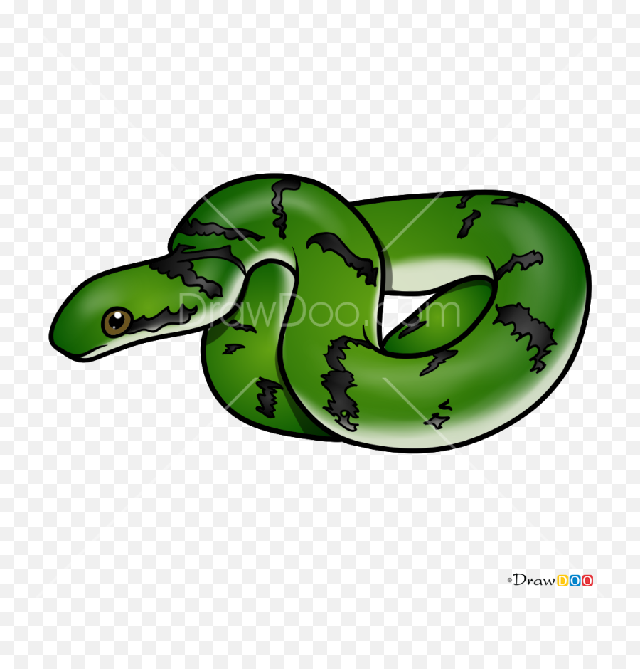 How To Draw Green Snake Snakes - Draw Green With Snake Emoji,Taylor Swift Snake Emojis