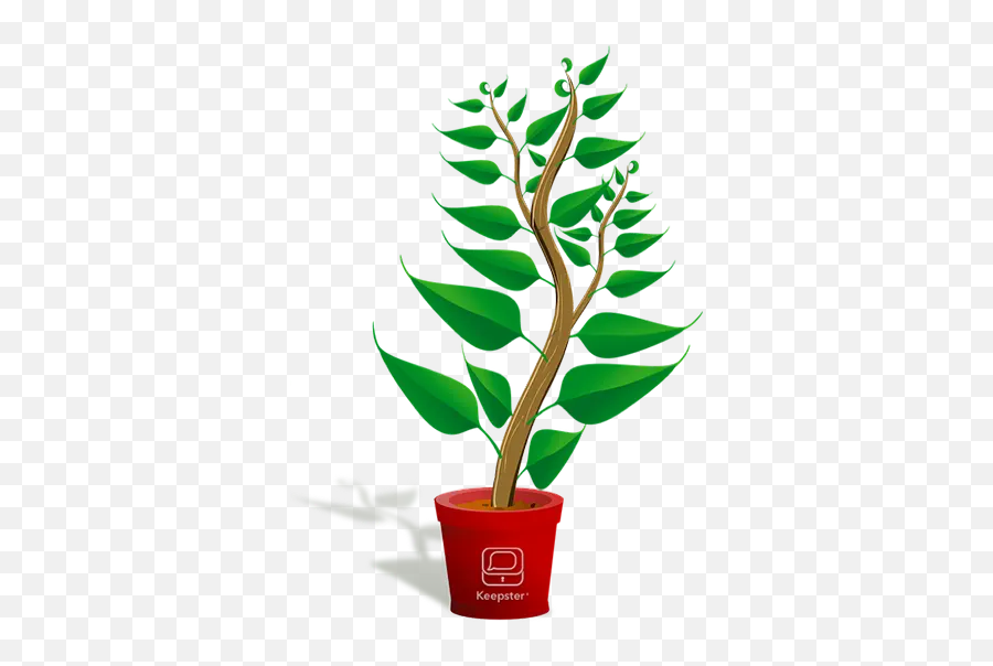 Keepster Iphone Messaging Backup App - Tree Growth Cartoon Png Emoji,She Only Txts Emojis