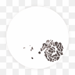 Human Patterns The Four Temperaments - Dot Emoji,Temperaments And Emotions