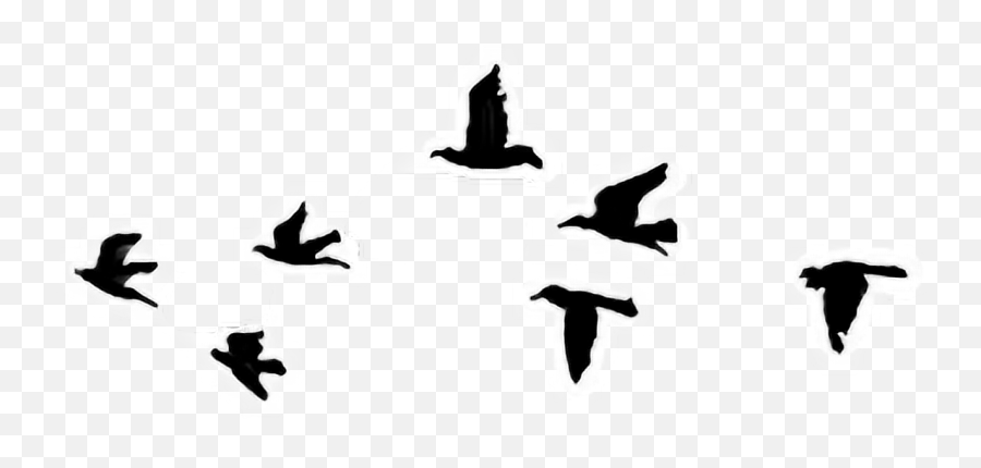 Draw Birds - Let It Go Tattoo Emoji,Flying Bird Emoji