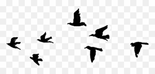 Draw Birds - Let It Go Tattoo Emoji,Flying Bird Emoji