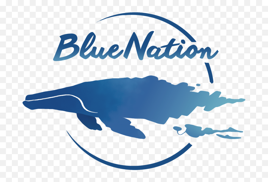 Loreto Bay National Park - Blue Nation Baja Emoji,Informacion Sobre El Scooter Emotion Lively Reviews