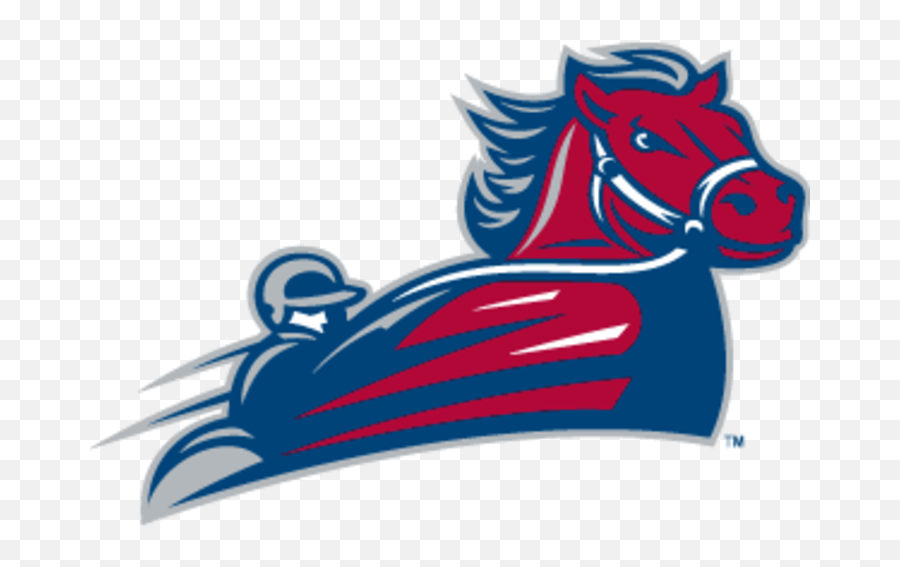 The South Carolina - University Of South Carolina Aiken Transparent Usc Aiken Logo Emoji,Carolina Panthers Emoji