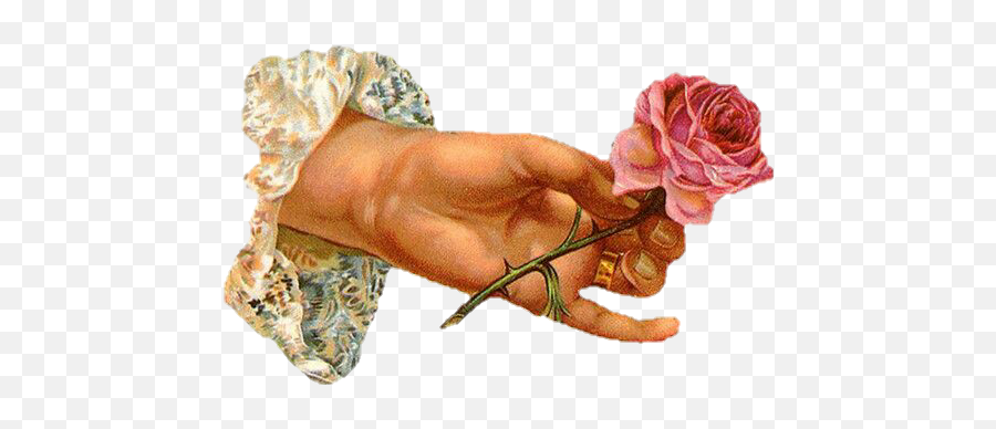 Hand Hold Rose Pink Painting Sticker - Day Clip Art Emoji,Hold My Flower Emoji
