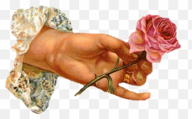 Hand Hold Rose Pink Painting Sticker - Day Clip Art Emoji,Hold My Flower Emoji