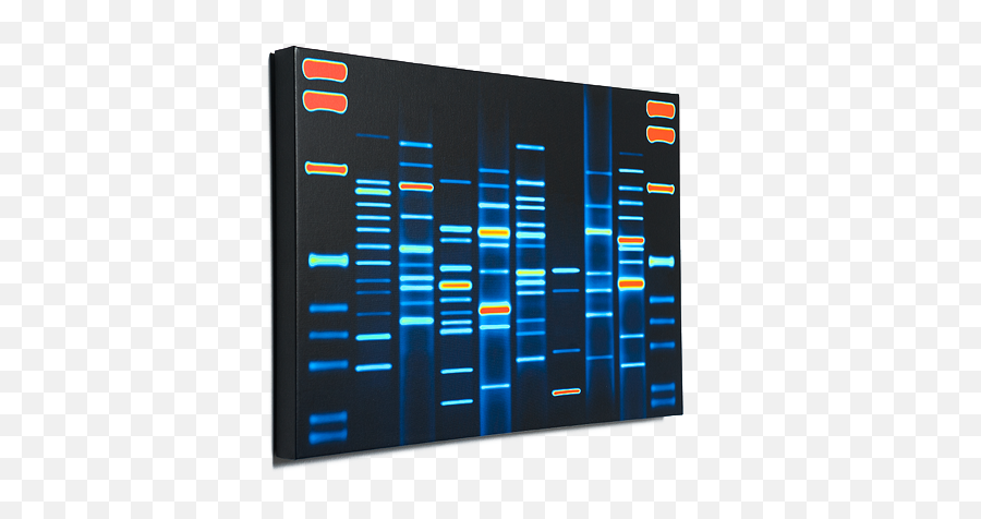 Dna Portrait The Worldu0027s Most Unique And Personalized Form Emoji,Canvas Decor Emojis