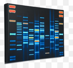 Dna Portrait The Worldu0027s Most Unique And Personalized Form Emoji,Canvas Decor Emojis