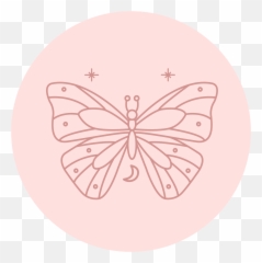 Breast Augmentation Portland Or Esprit Cosmetic Surgeons Emoji,Teardrop Showing Emotions