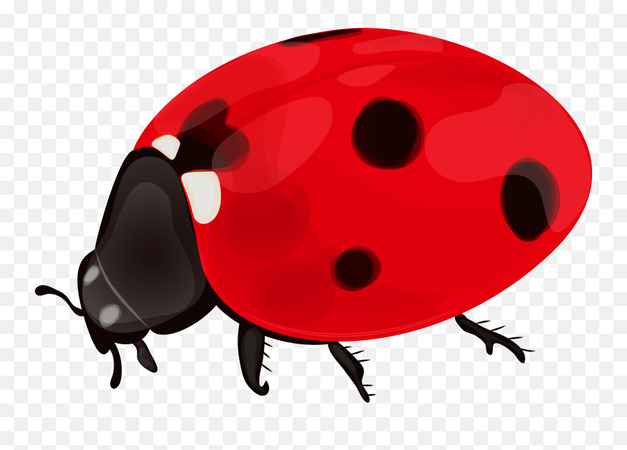Bug Clipart Transparent Background - Ladybug Transparent Emoji,Ladybug Emoji Facebook