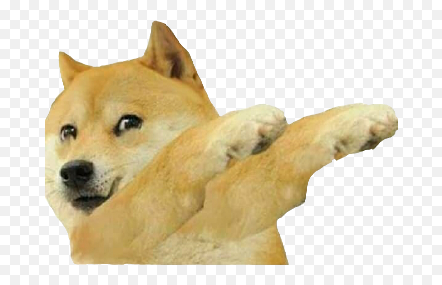 Doge Dabbing Epic Style Rdogelore Ironic Doge Memes - Doge Meme Png Emoji,Dab Emoji Discord