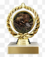 Beaver Logo Trophy On Flat White Marble Emoji,Hair Flip Emoji Brown