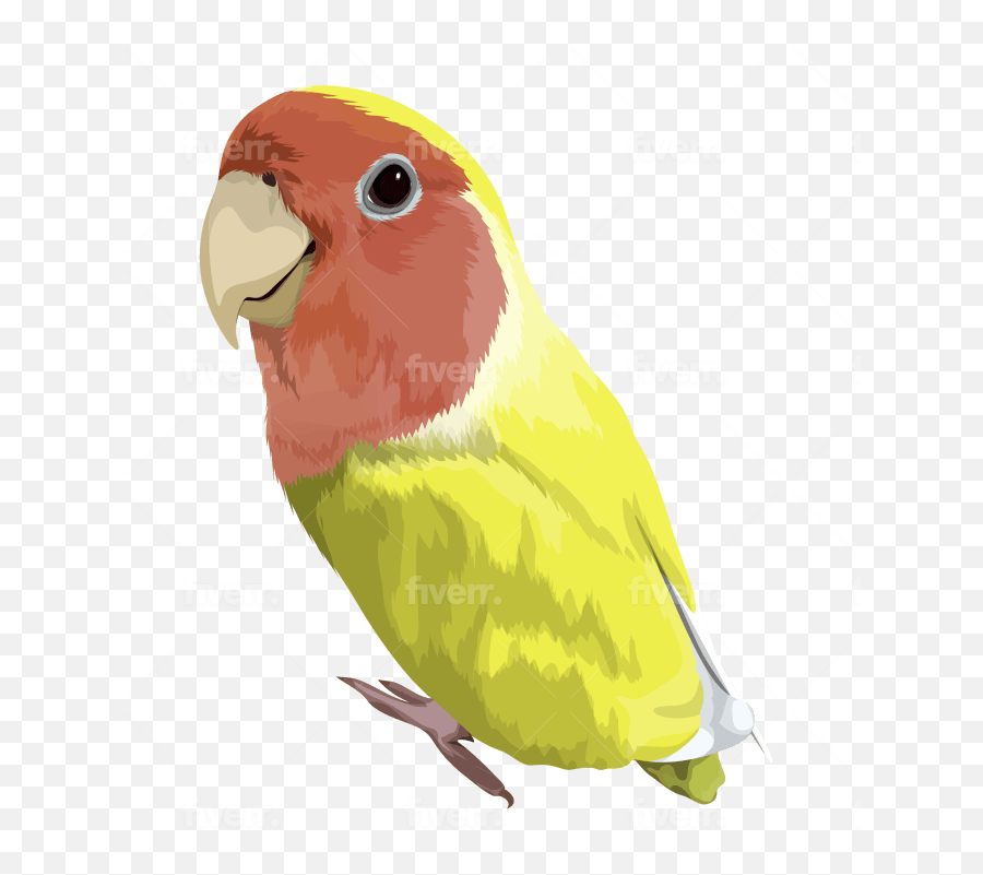 Do Dog Cat Pet Animal Portrait Drawing Vector Illustration Emoji,Science Parrot Emoji