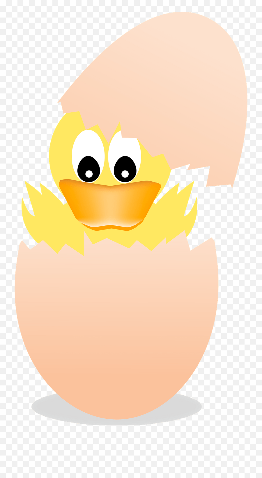 Baby Duck Hatching Clipart - Happy Emoji,Duck In Emoticon