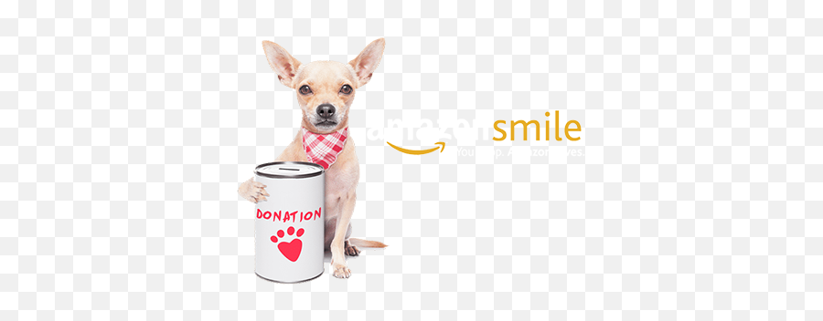 Home - Official Site Of Operation Blankets Of Love Obol Emoji,Emotions Do Zap Animais