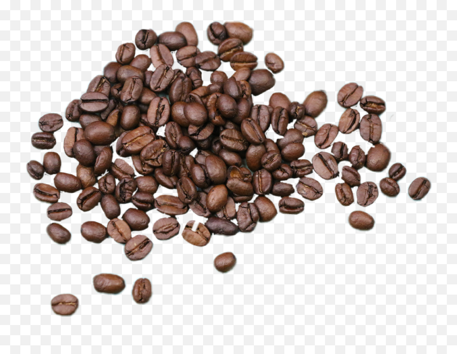 Coffee Coffeebean Coffeebeans Sticker - Coffee Emoji,Coffee Bean Emoji