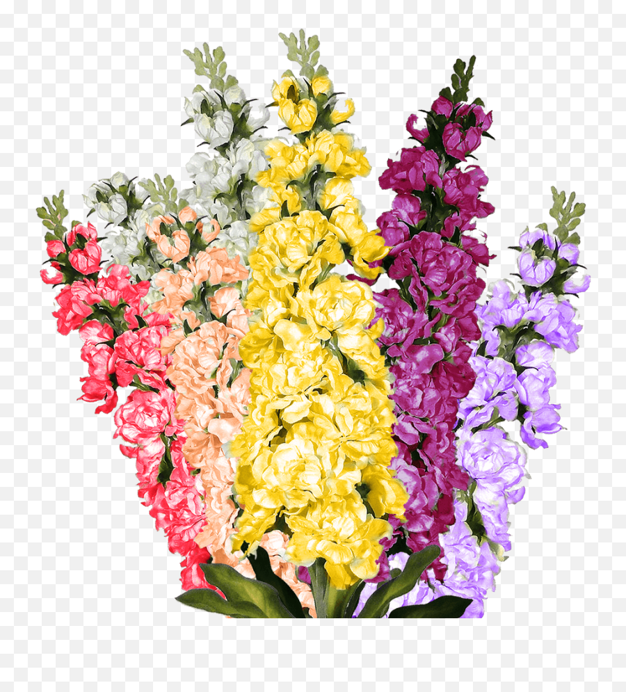 Globalrose What Are The Best Flowers To Give A Taurus - Stock Fresh Cut Flowers Emoji,What Is The Emotion For Yellow Roses