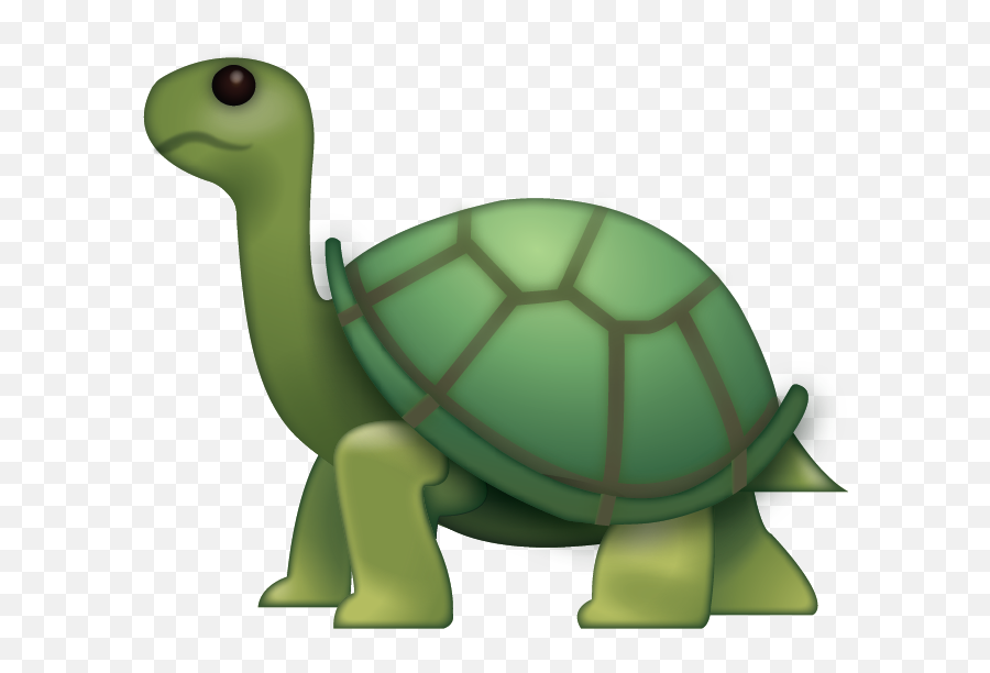 Turtle Emoji Free Download Ios Emojis Emoji Island - Turtle Emoji Apple,Green Emojis